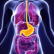 Management of Anal Adenocarcinoma in Italy: National Survey by the Italian Associationof Radiotherapy and Clinical Oncology (AIRO) Gastrointestinal Tumors Study Group