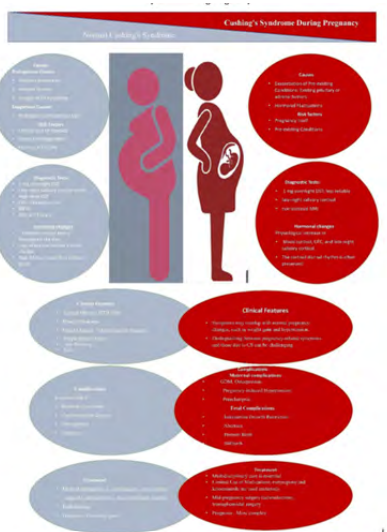 Challenges and Advances in the Diagnosis and Treatment of Cushing’s Syndrome in Pregnancy