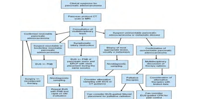 Revolutionizing Pancreatic Cancer Surgery: A Comparative Analysis of Metropancrease AI Tool Versus Traditional Methods