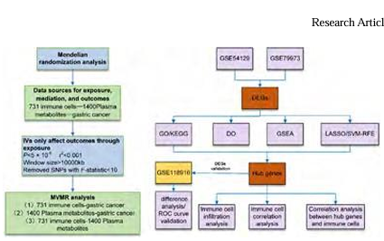 BANF1 and LY6E May Be Involved in Causal Relationships between Immune Cells, Circulating Metabolites, and Gastric Cancer: Multivariate Mendelian Studies Combined with Machine Learning and Experiments to Validate Characteristic Genes