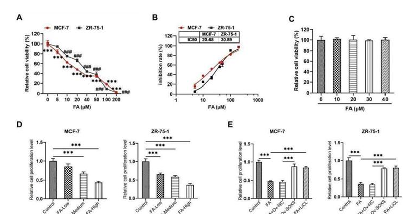 Flurbiprofen Axetil Targets SOX9-Mediated Wnt/β-Catenin/c-Myc Signaling to Suppress Tumorigenesis and Stemness in Luminal A Breast Cancer